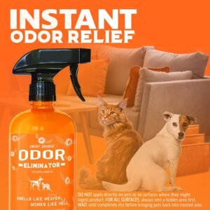 ANGRY ORANGE Pet Odor Eliminator for Strong Odor
